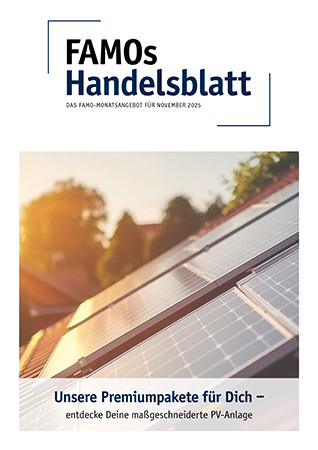 FAMOs Handelsblatt_2025-11.jpg?ts=1761732642